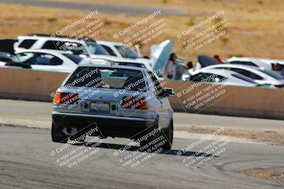 media/Feb-22-2025-Team Topak Racing (Sat) [[cb57a51a40]]/86 Party Brigade/Turns 13 and 14/